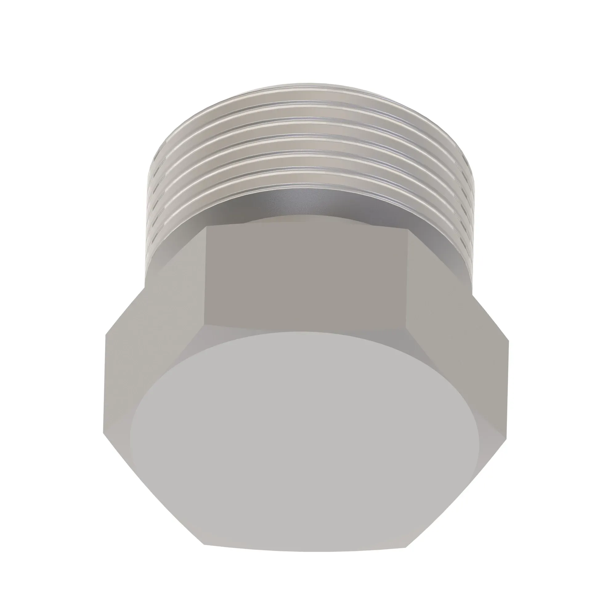 Fitting Plug
