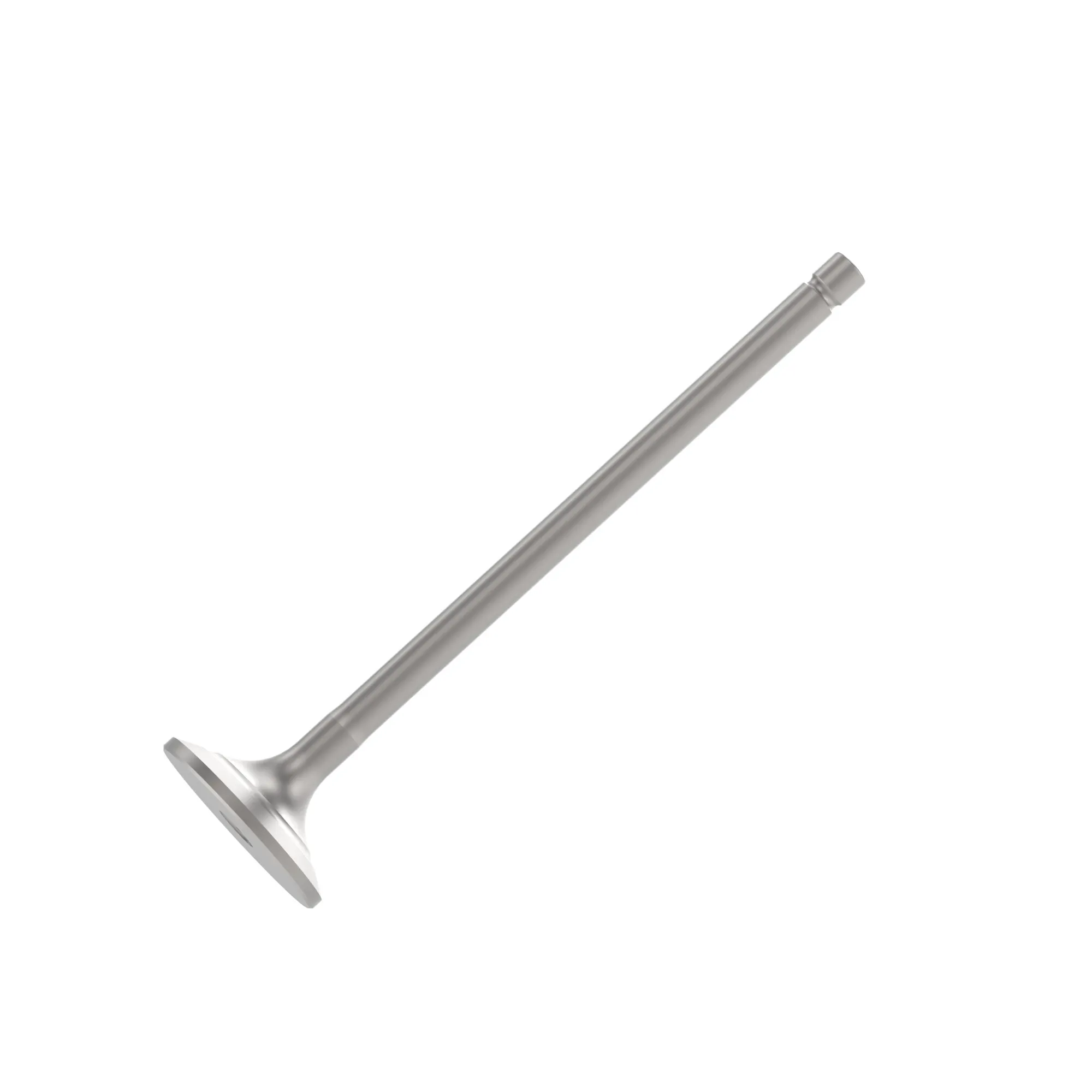 Exhaust Valve