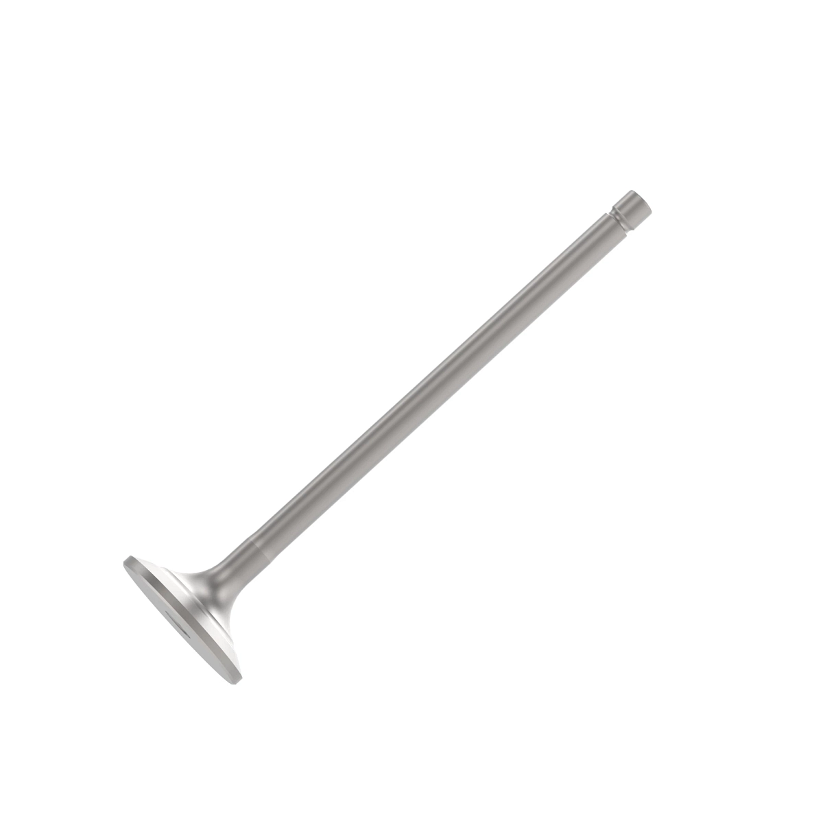Exhaust Valve