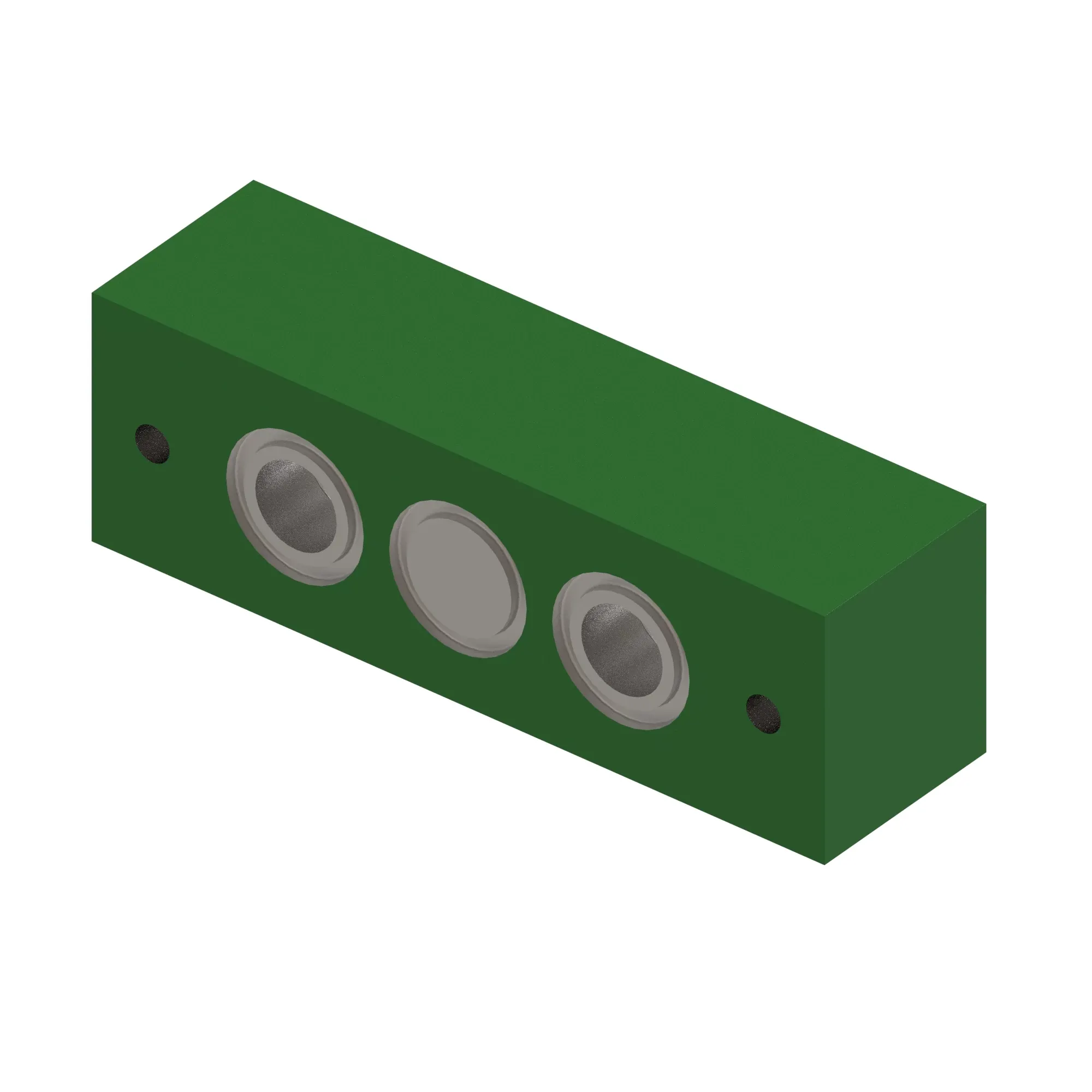 Manifold