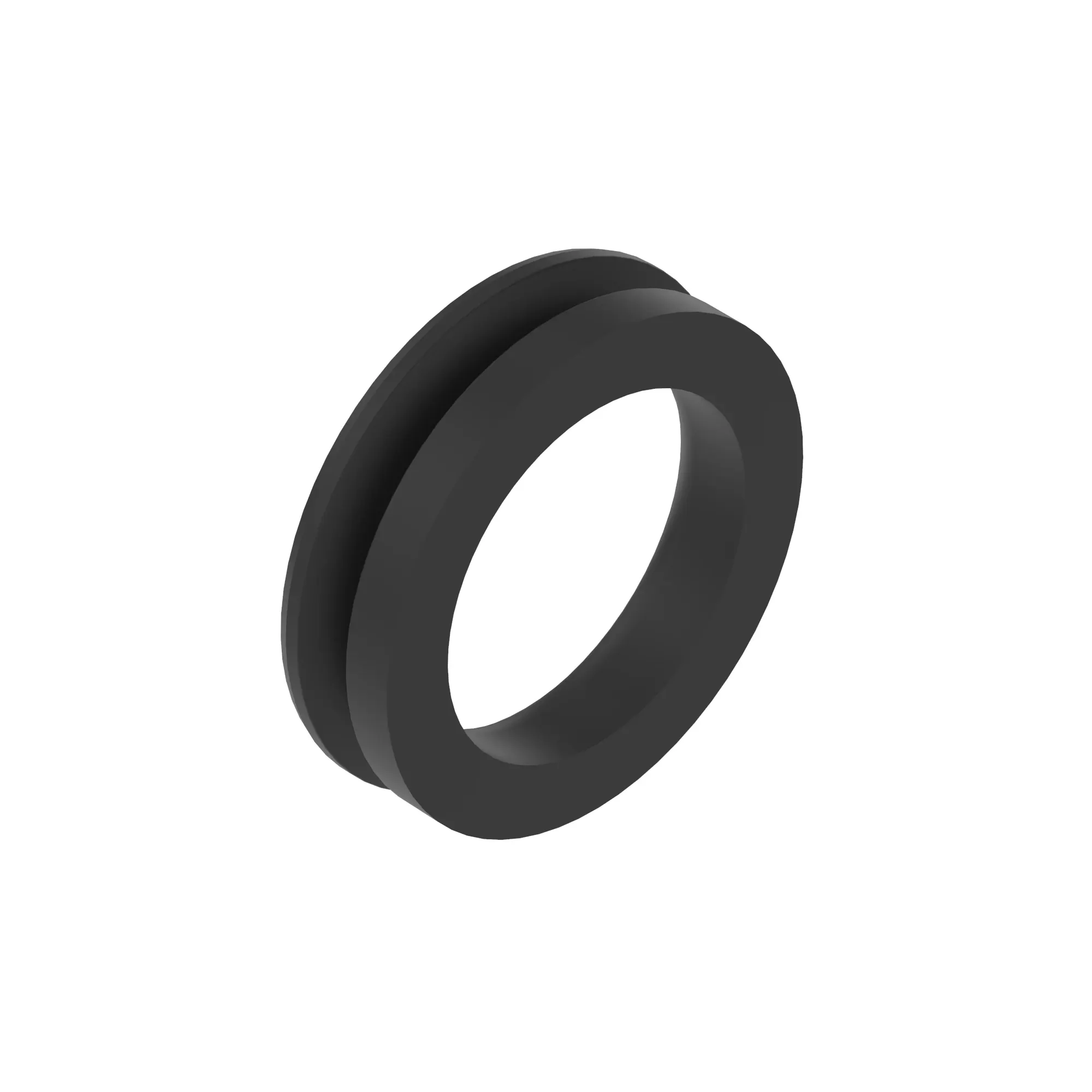 V-Ring Seal