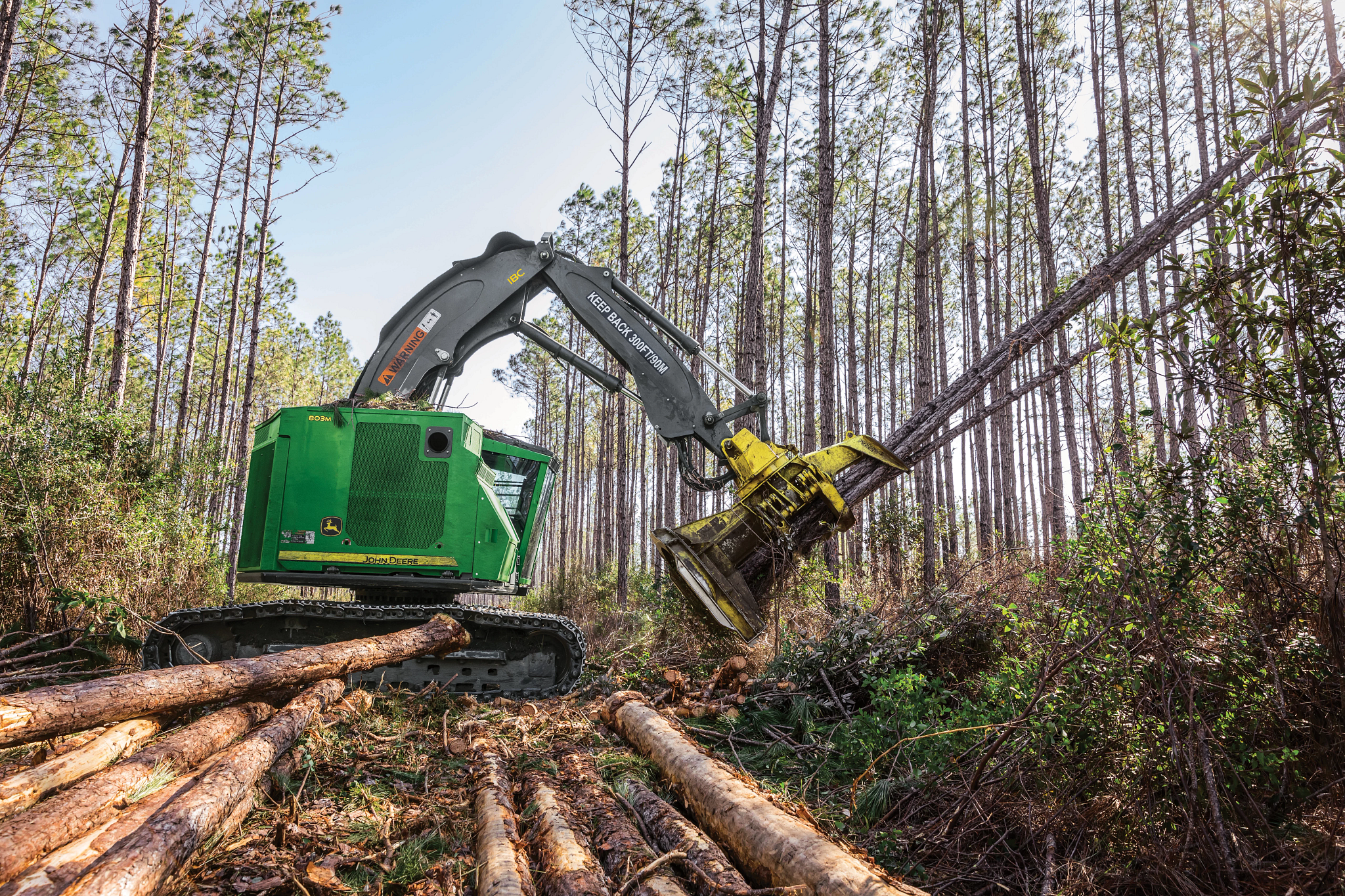 John Deere tracked forestry machine lifts and processes felled logs with a harvesting head in a dense pine forest, with cut timber in the foreground and tall trees surrounding the work area.