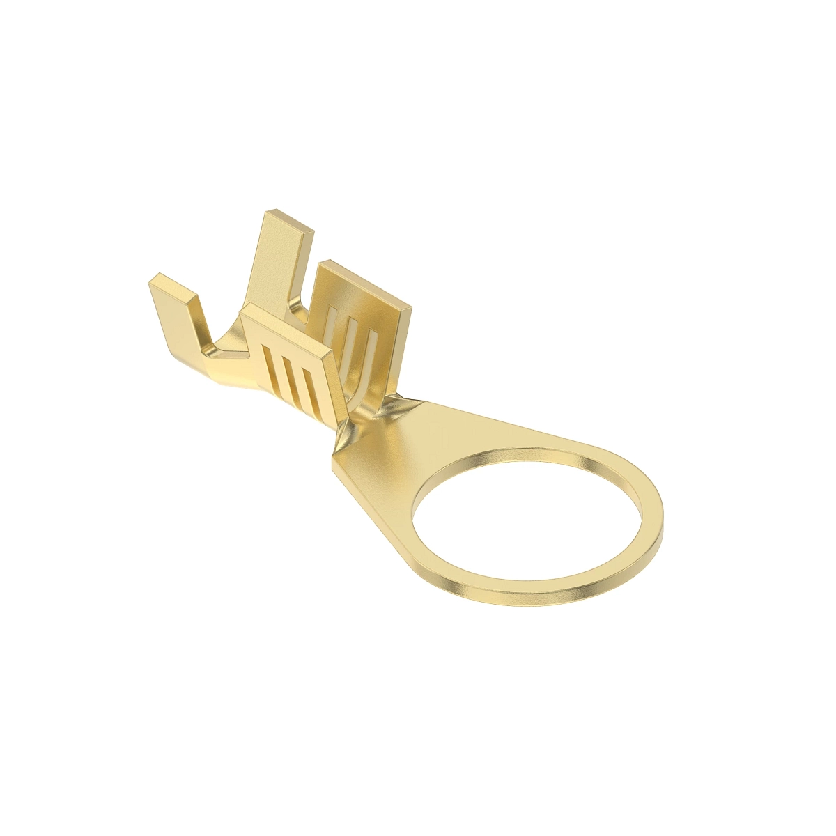 Term Delphi Ring M8