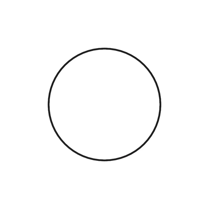 O-Ring