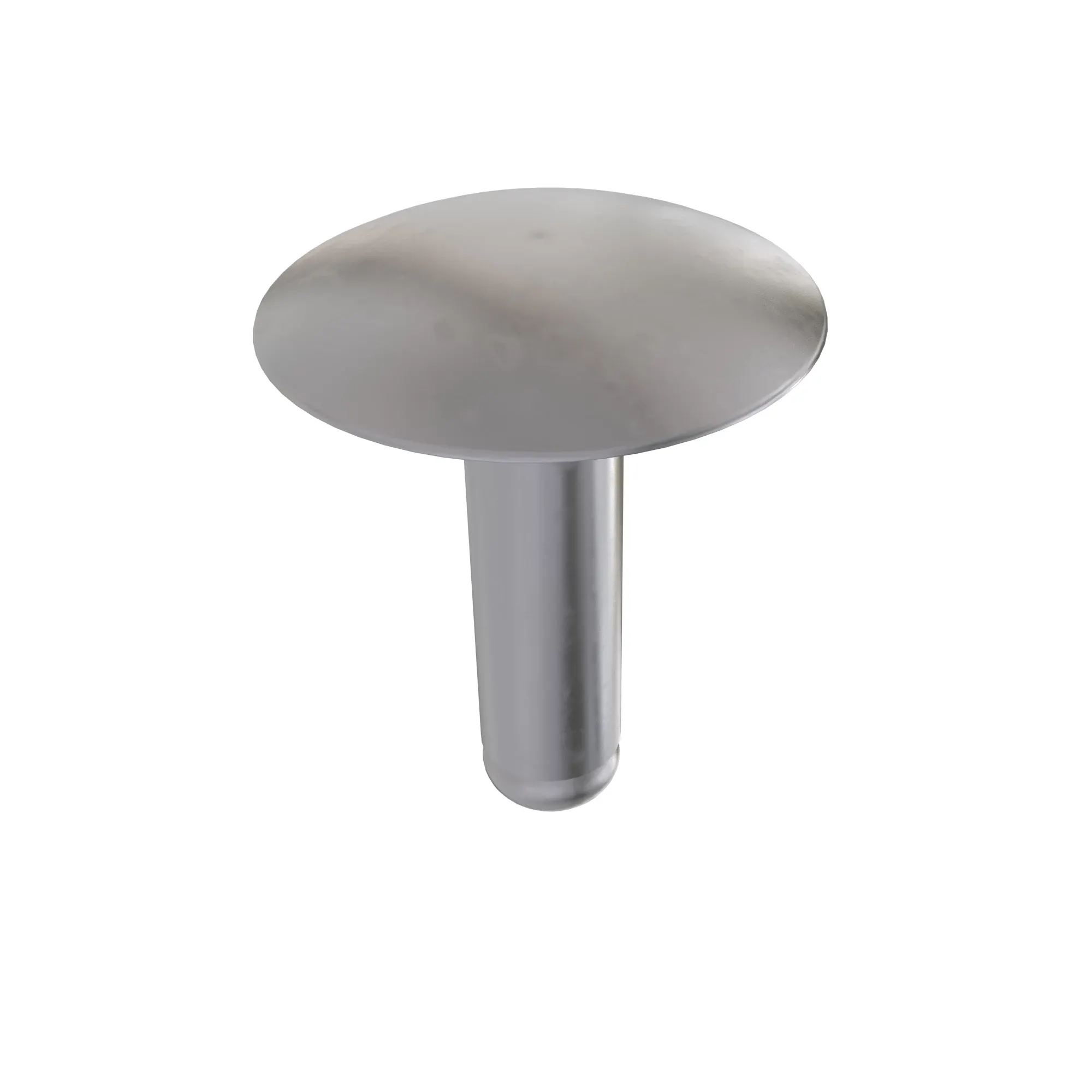 Rivet