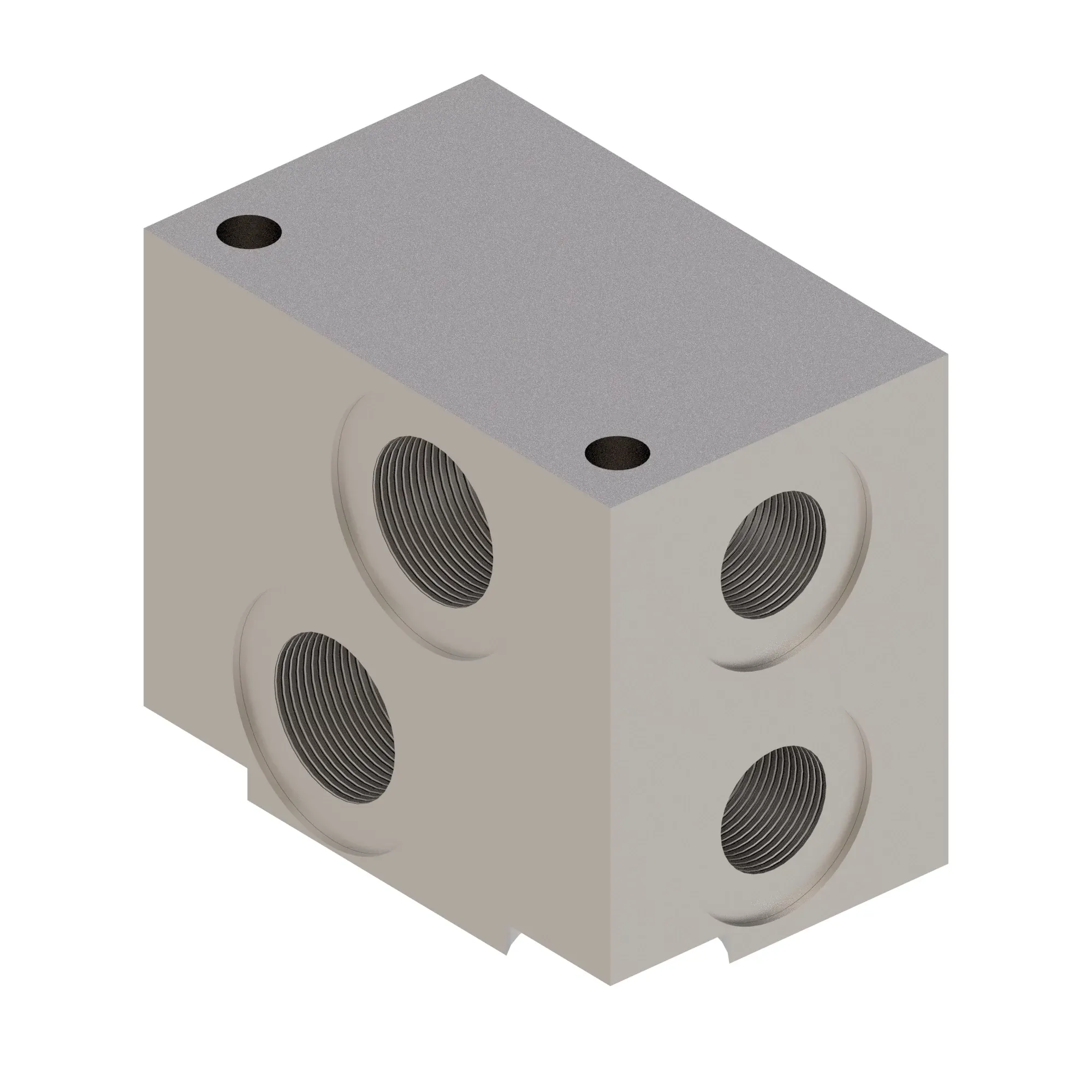 Manifold