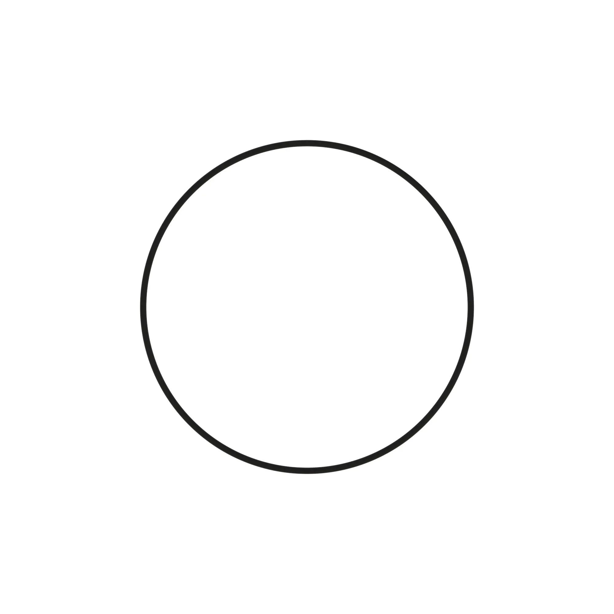 O-RING