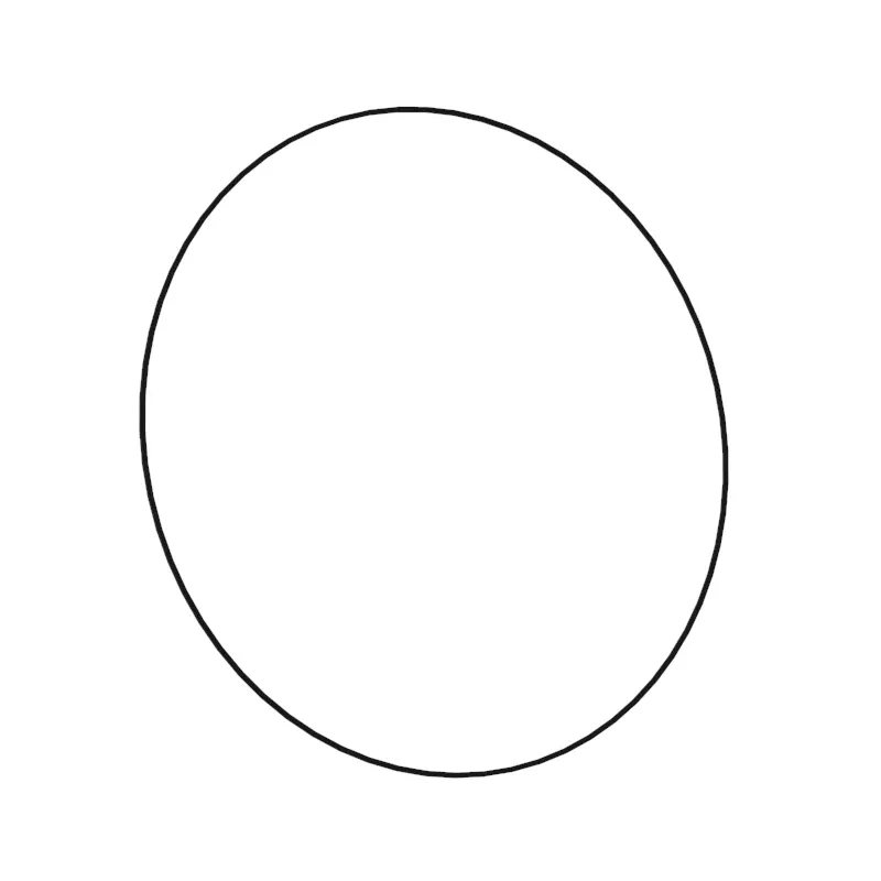 O-Ring