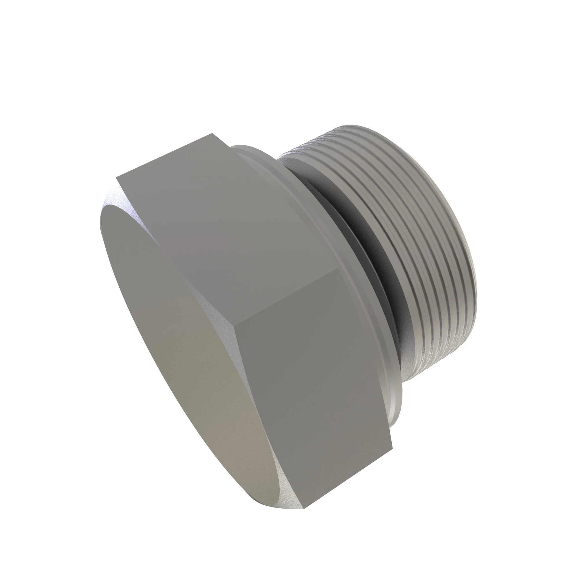 FITTING PLUG, WITH O-RING