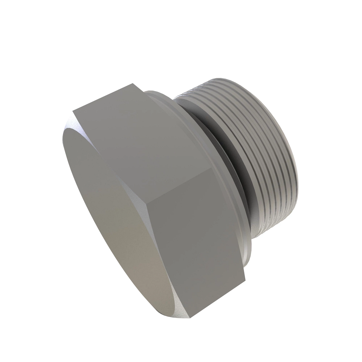 Fitting Plug, With O-Ring