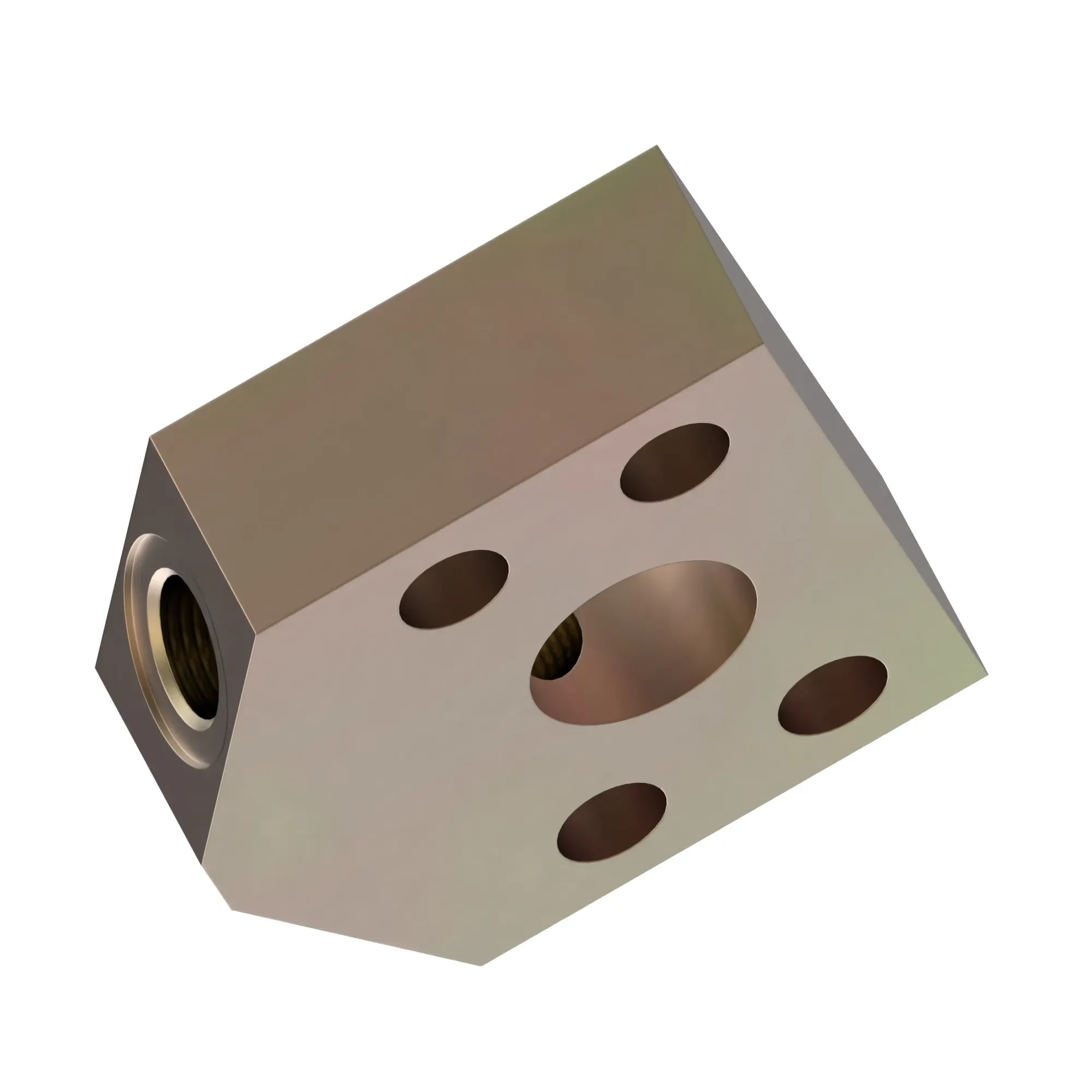 MANIFOLD