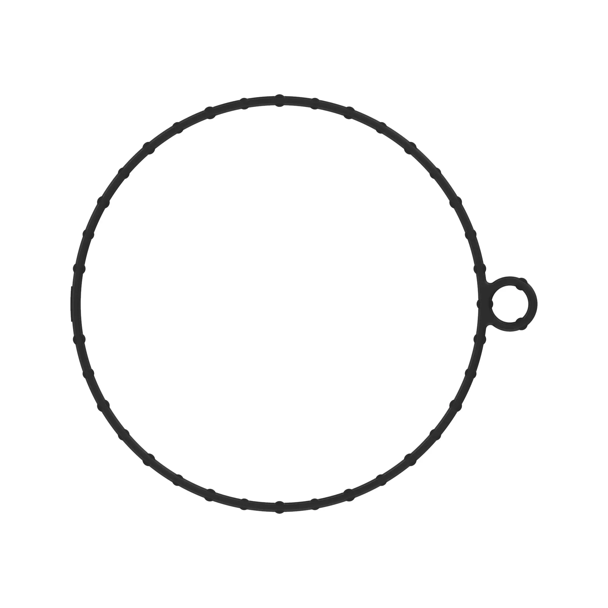 Gasket