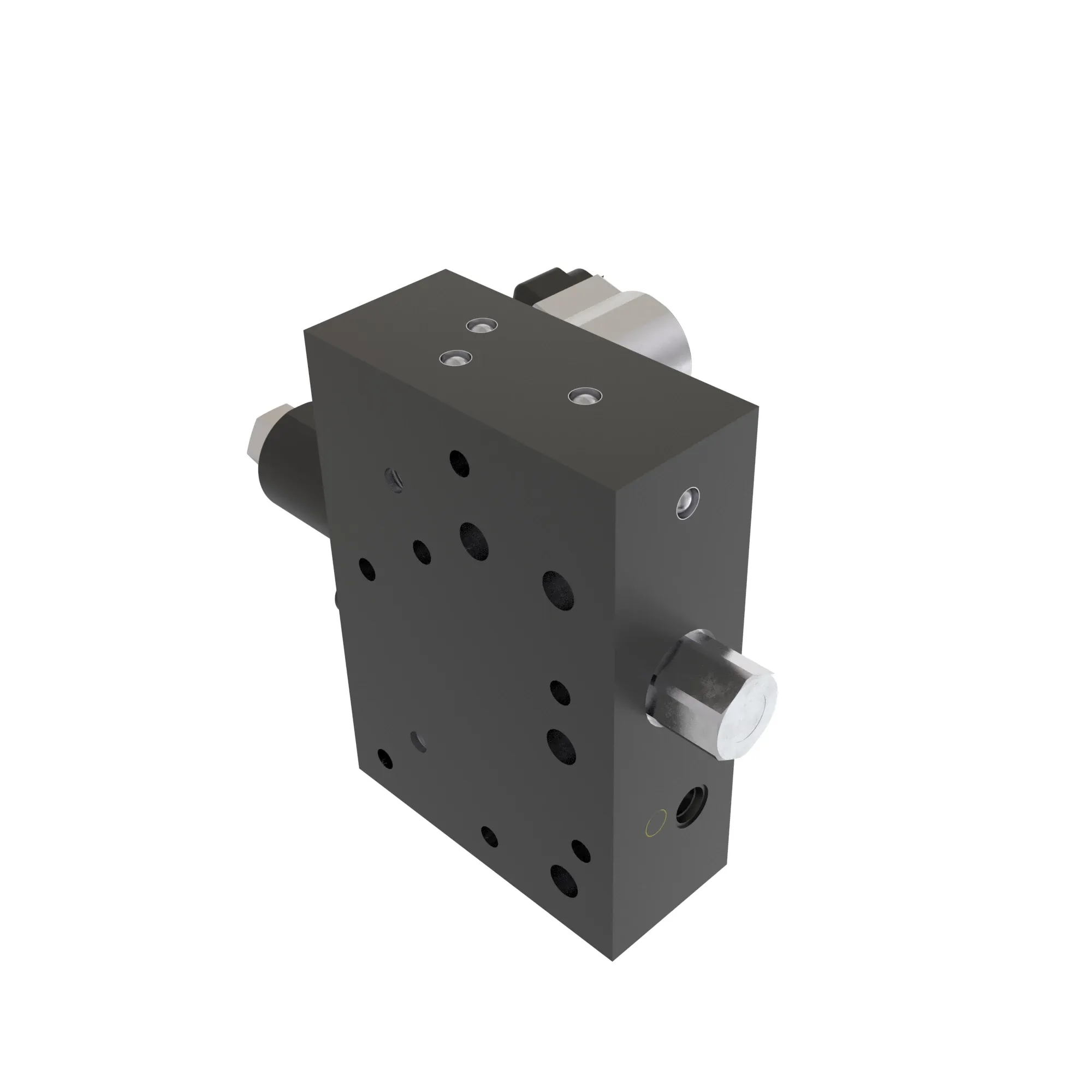 Manifold
