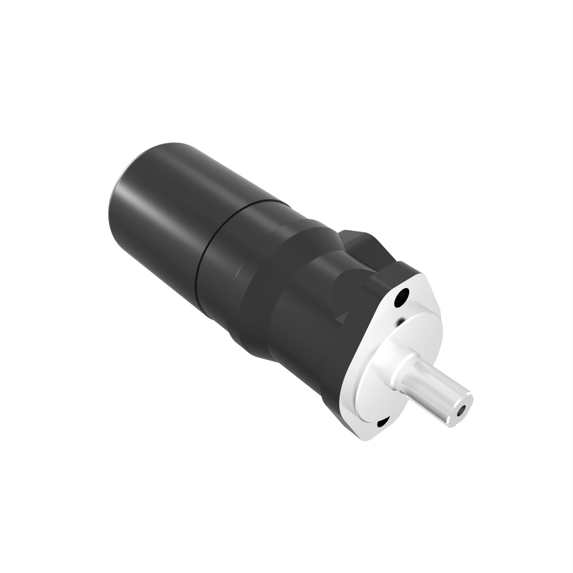 HYDRAULIC MOTOR WITH BRAKE