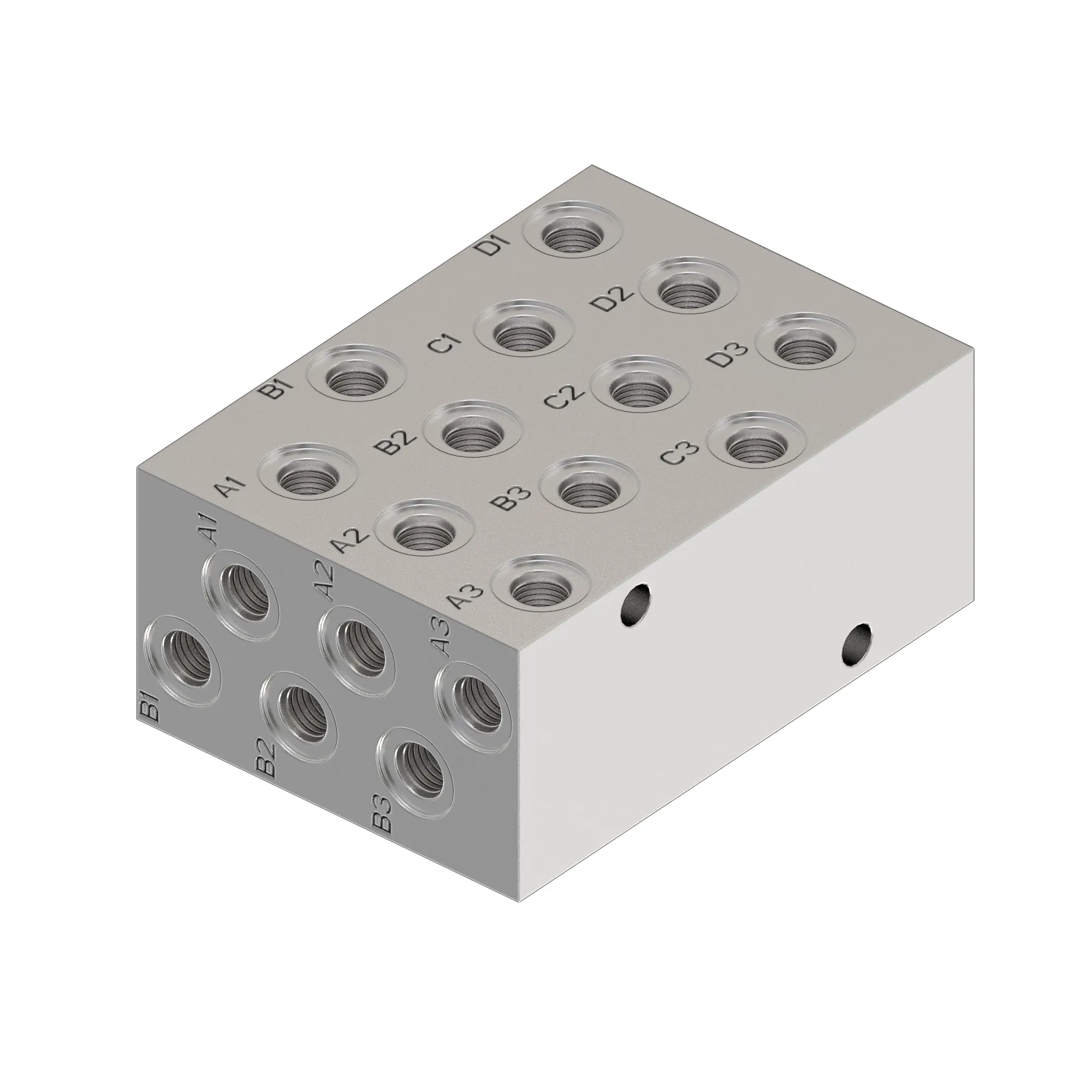Manifold