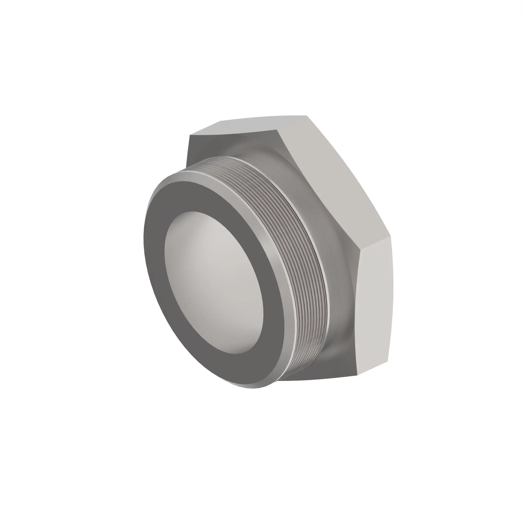 PLUG, FITTING ADAPTER WITH O-RING