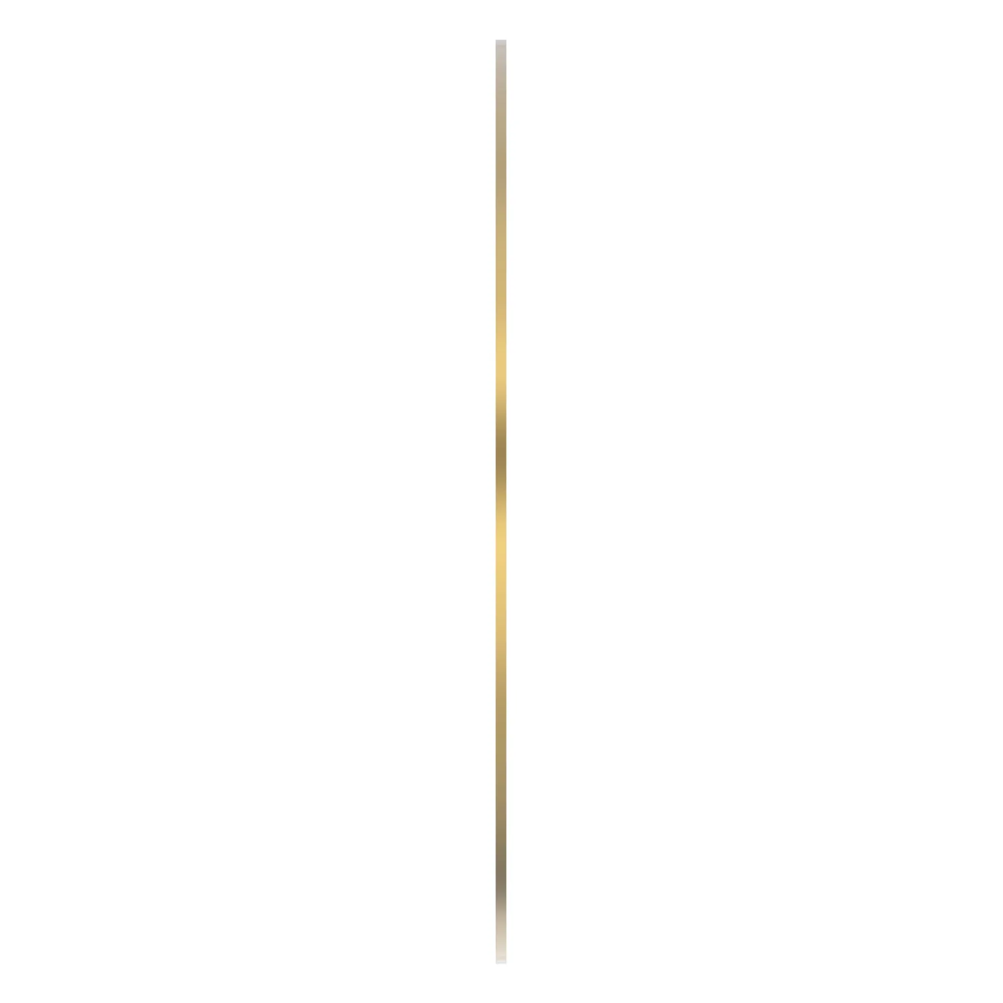 DISK WITH INNER SPLINE