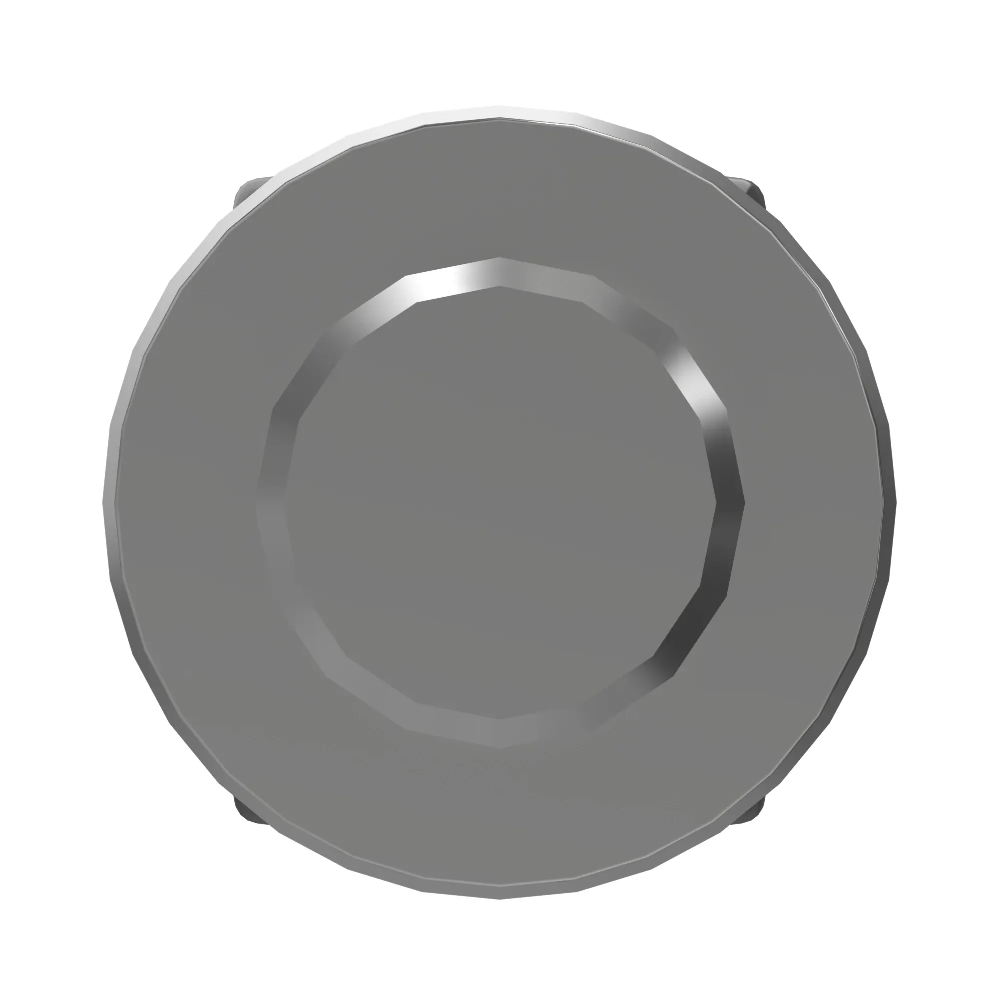 HYDRAULIC CYLINDER ROD