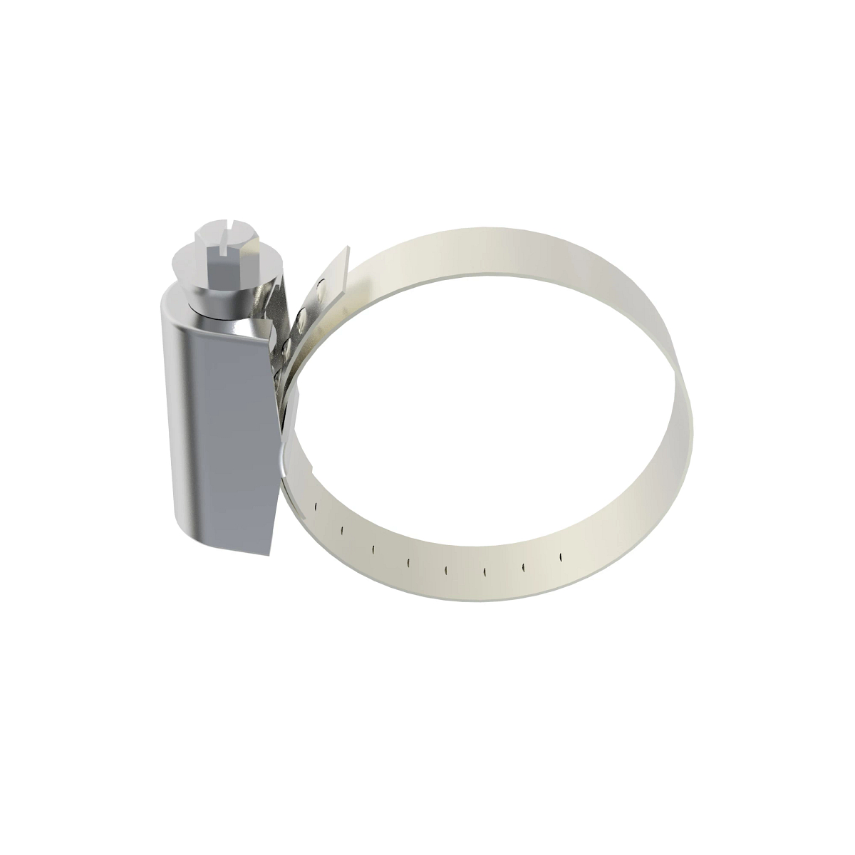 Hose Clamp