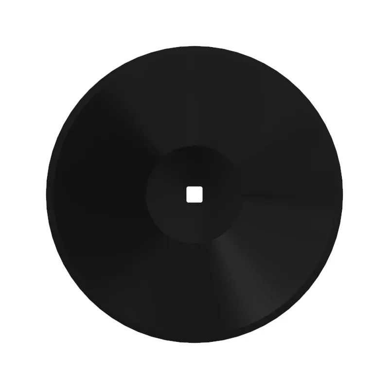 Disk