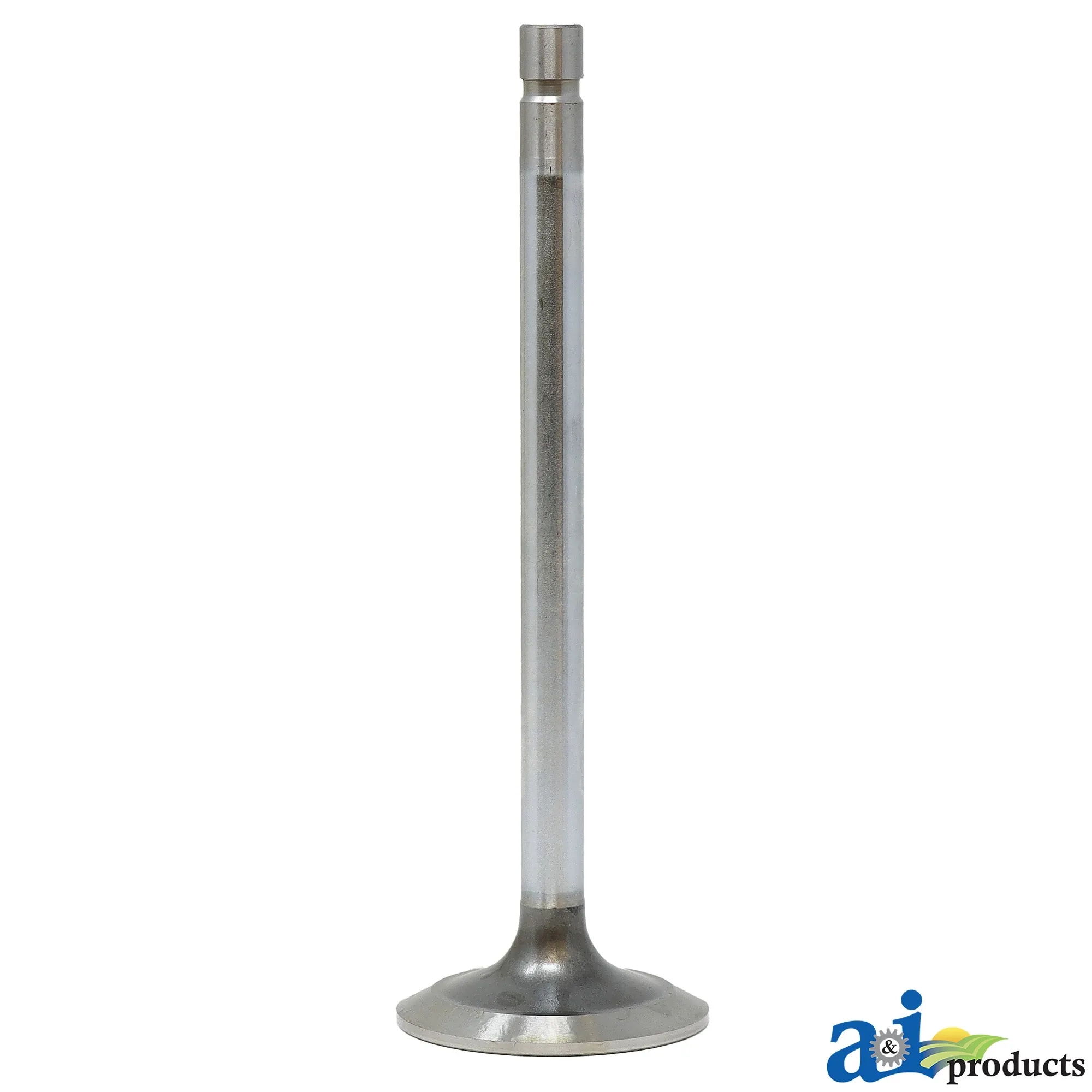 Exhaust Valve
