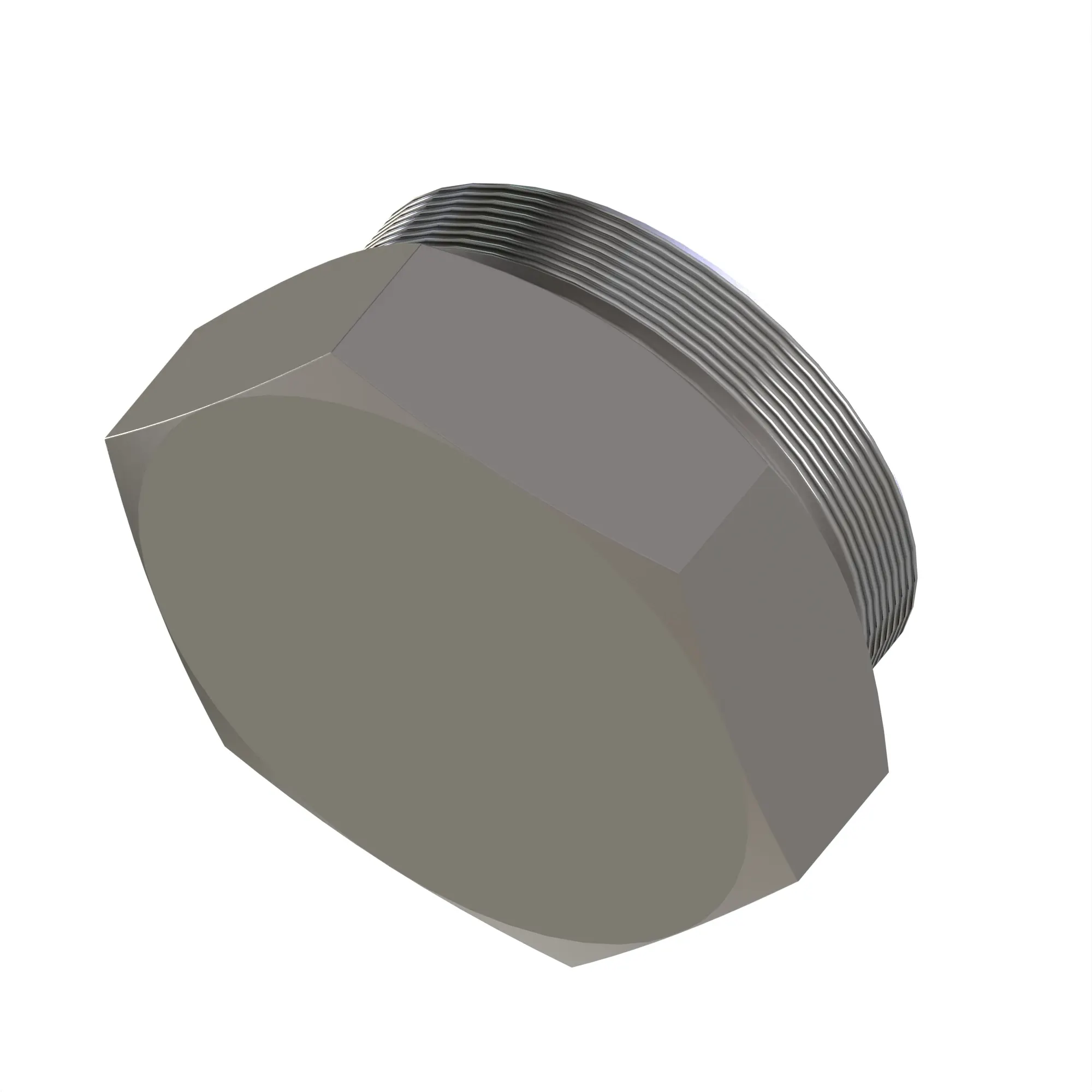Drain Plug