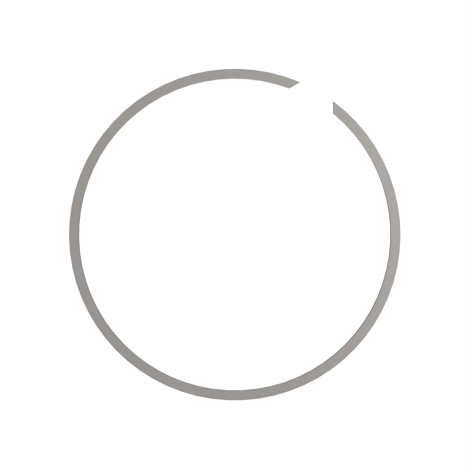 Snap Ring