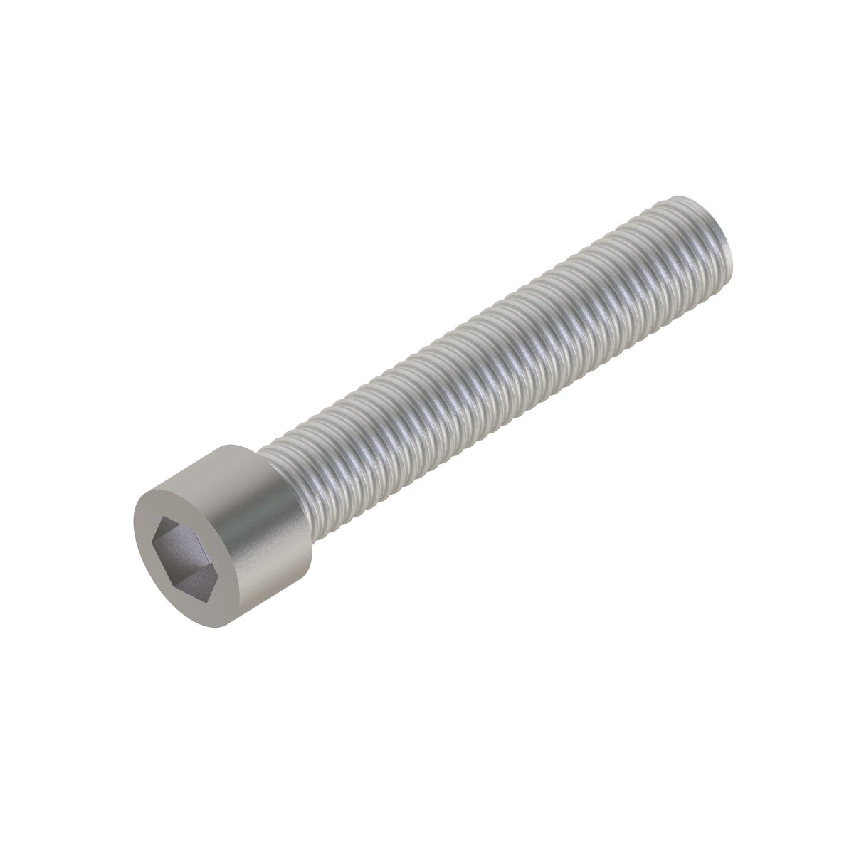 Screw, Hex Socket Head, Metric