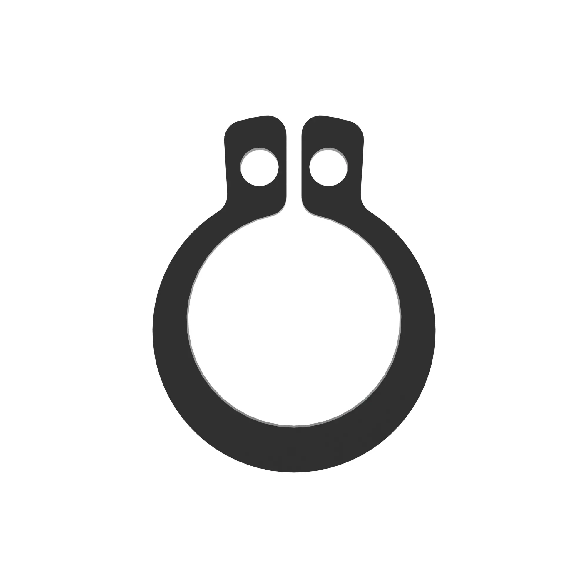 Snap Ring