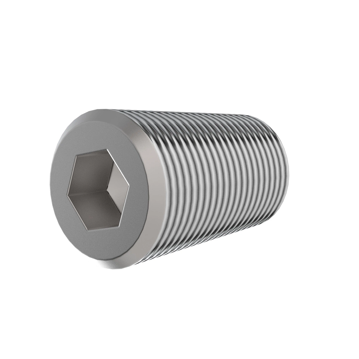 Pipe Plug