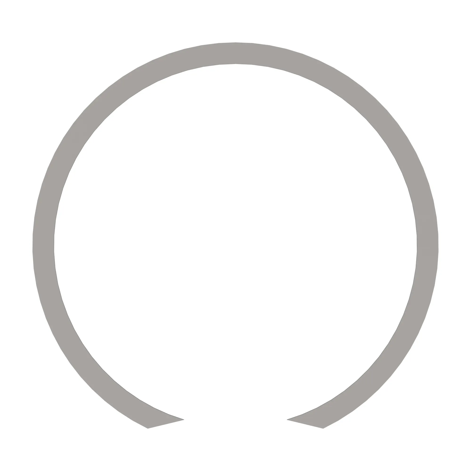 Snap Ring