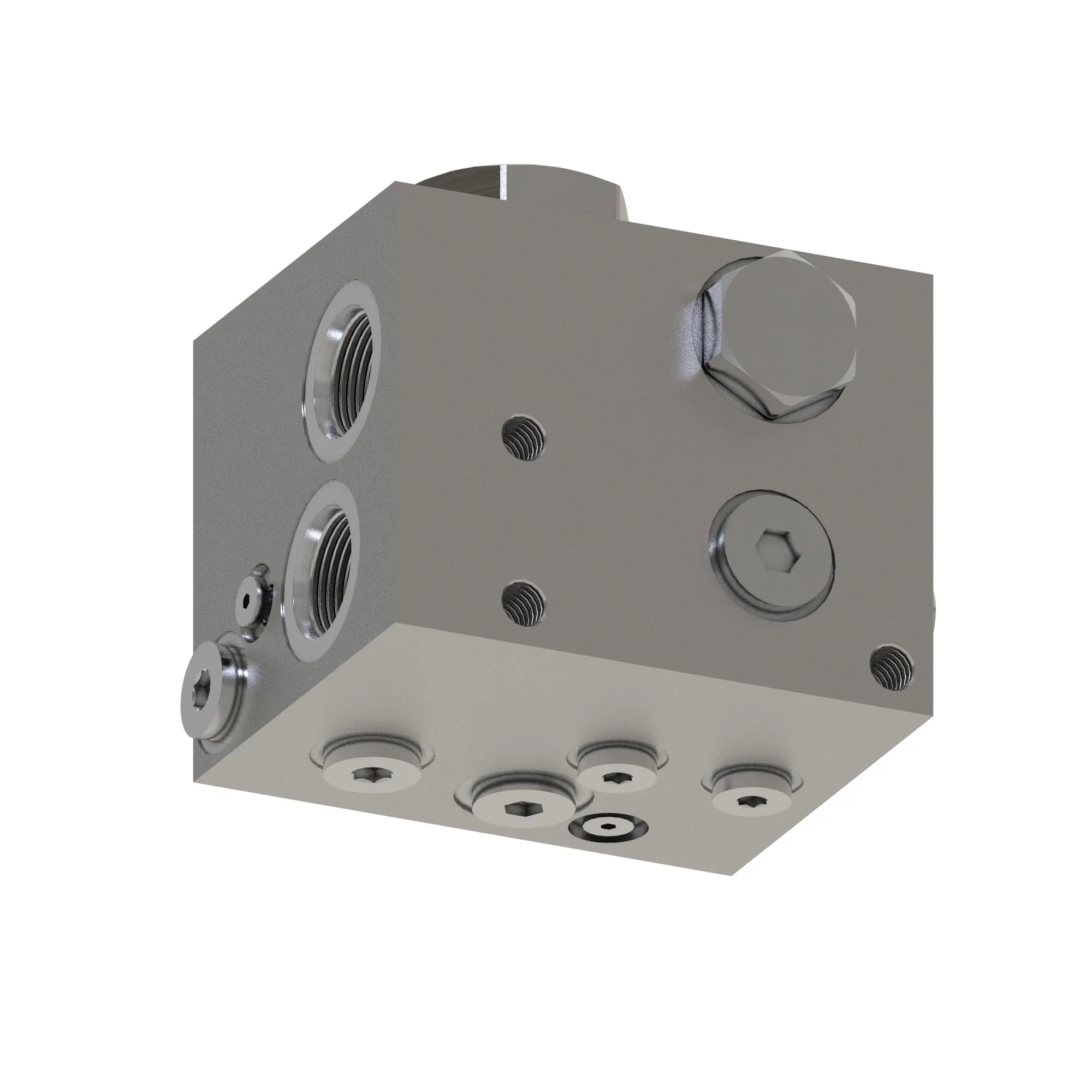 Manifold