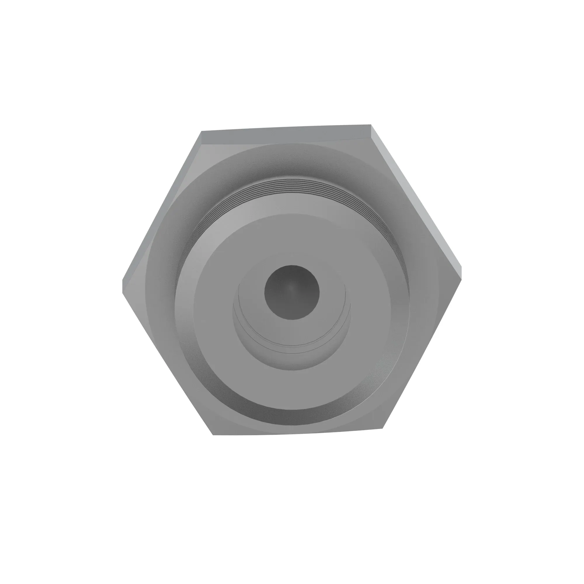 Fitting Plug