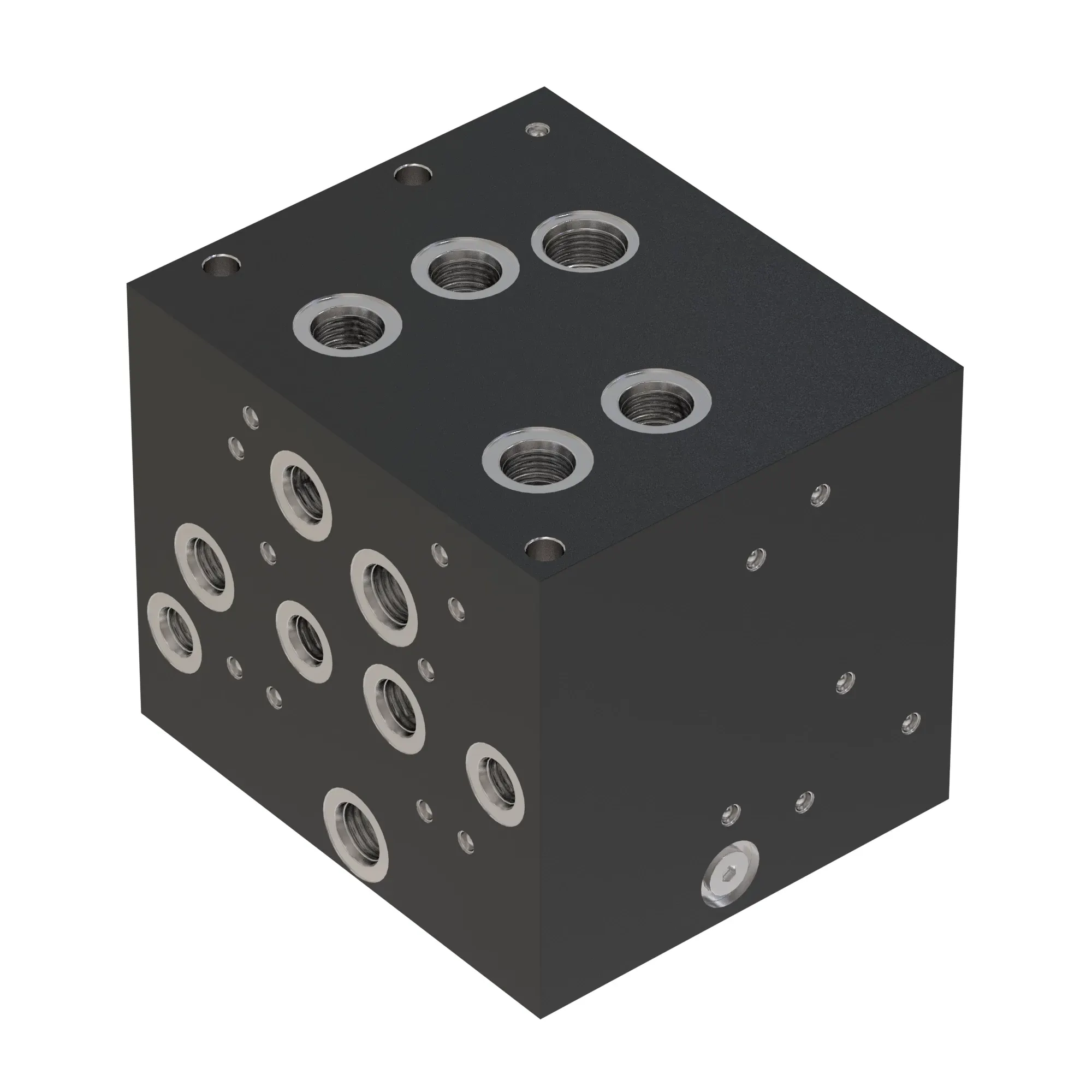 Manifold
