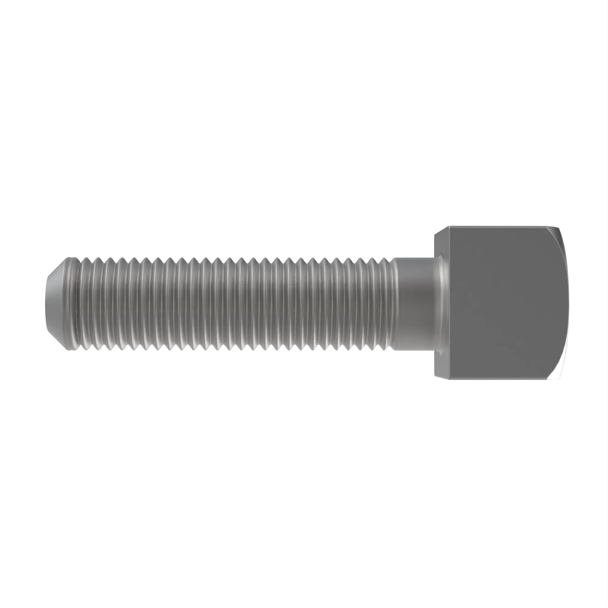Screw