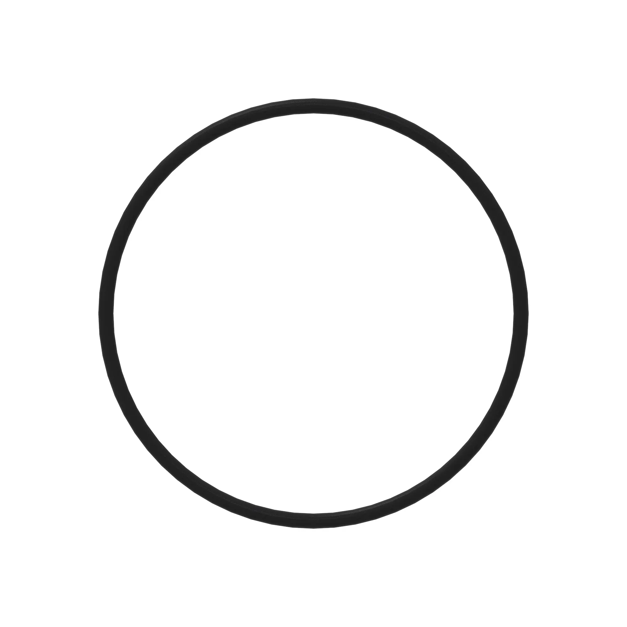 O-Ring