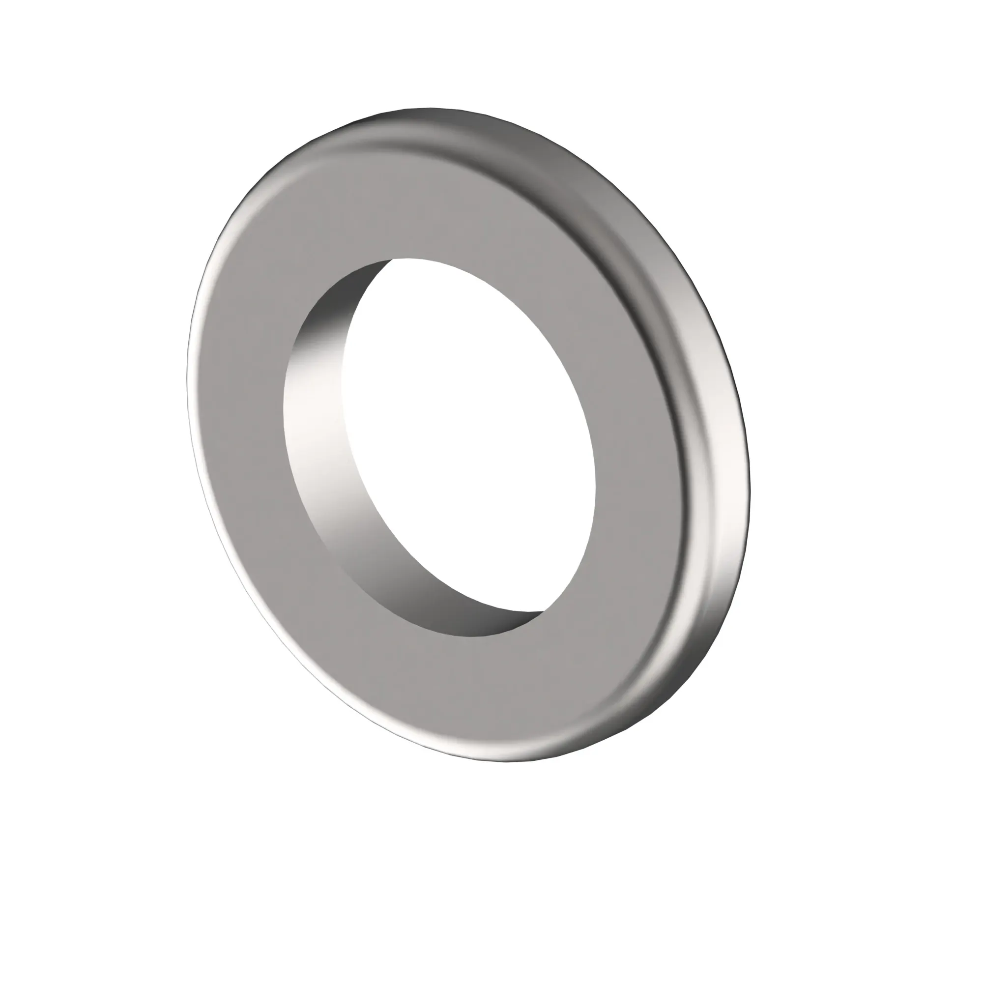 Sealing Washer