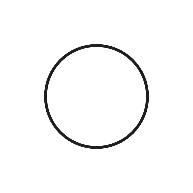 O-Ring