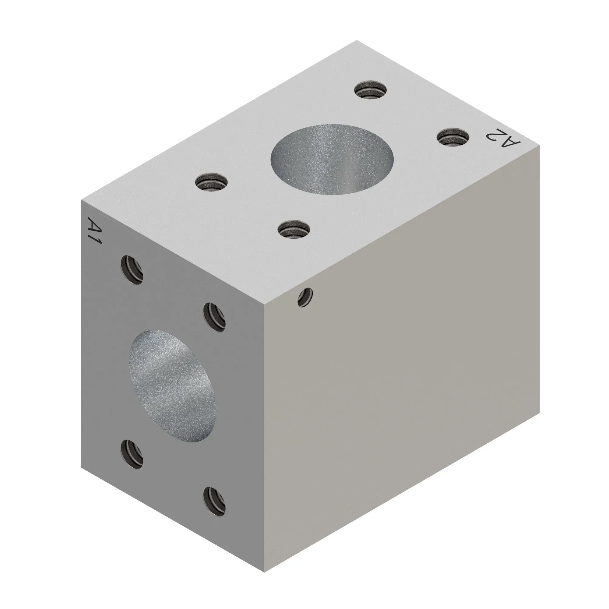 Manifold