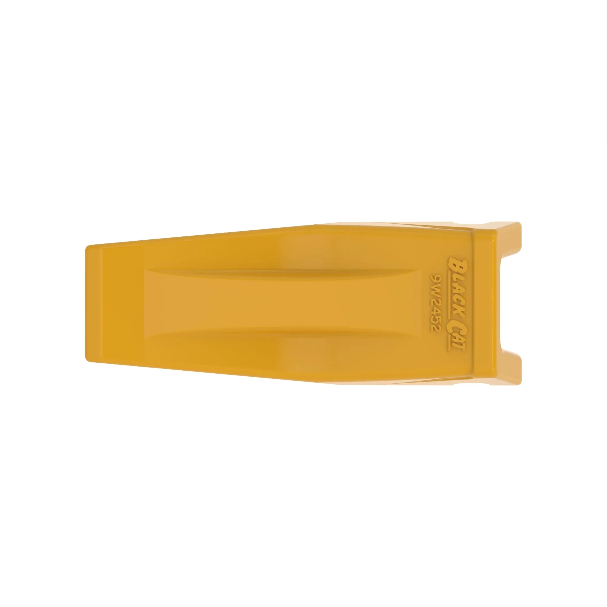 tooth