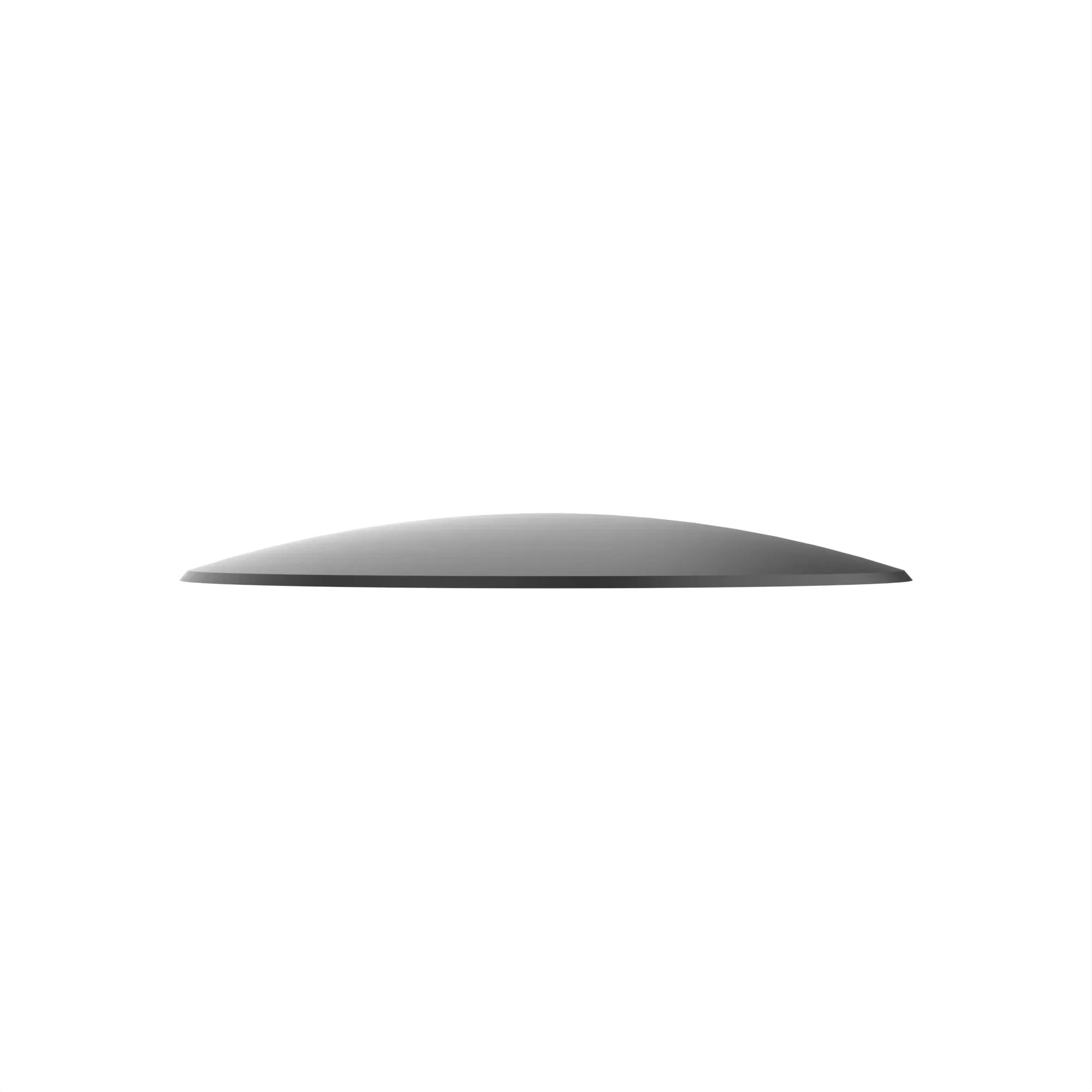 Disk