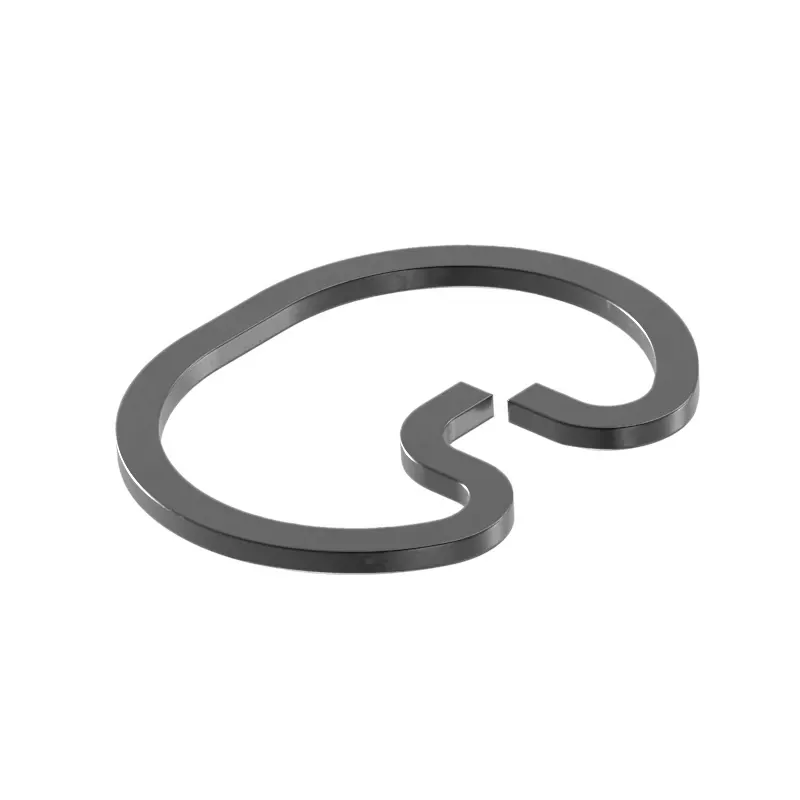 Snap Ring