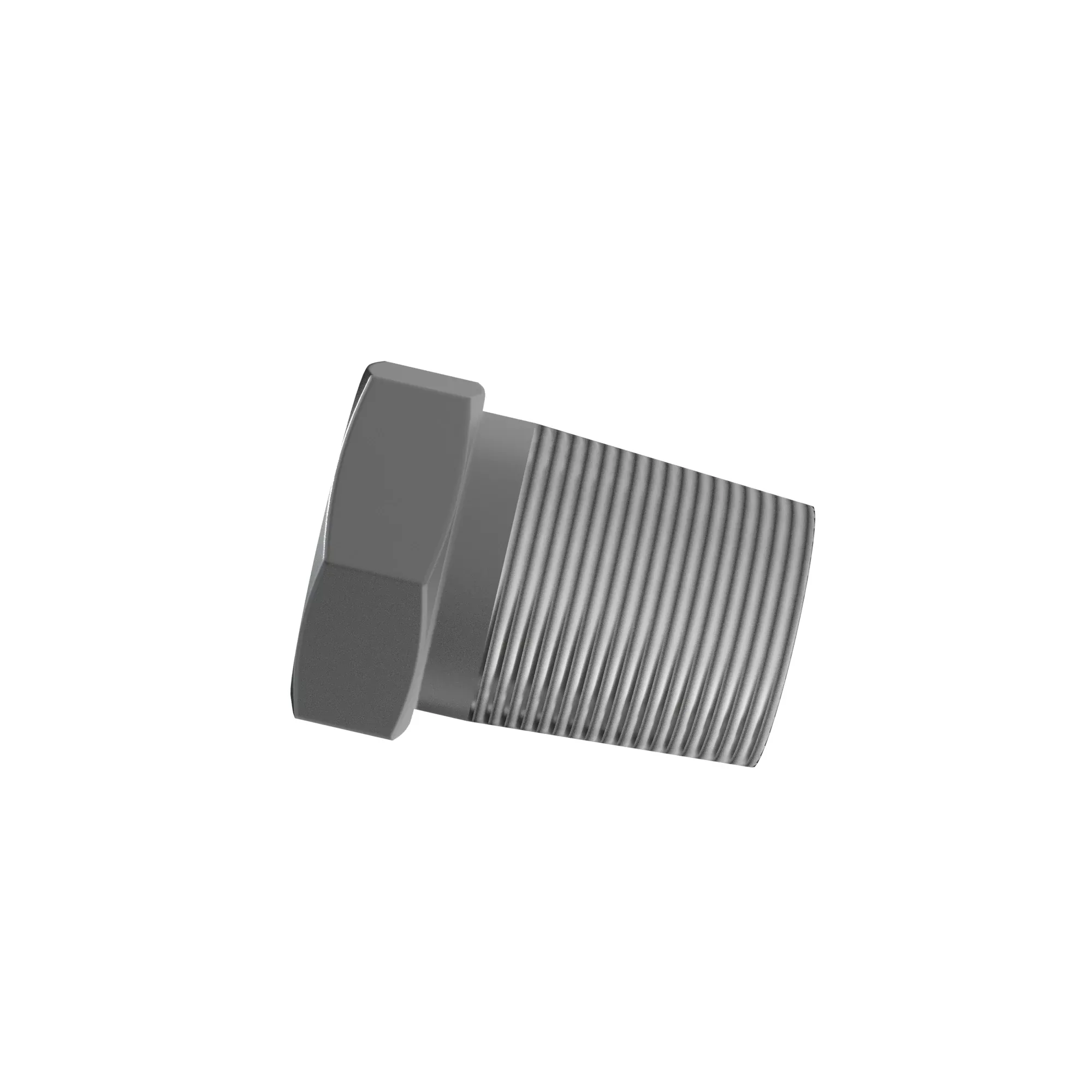 Pipe Plug