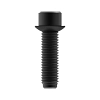 Screw With Washer