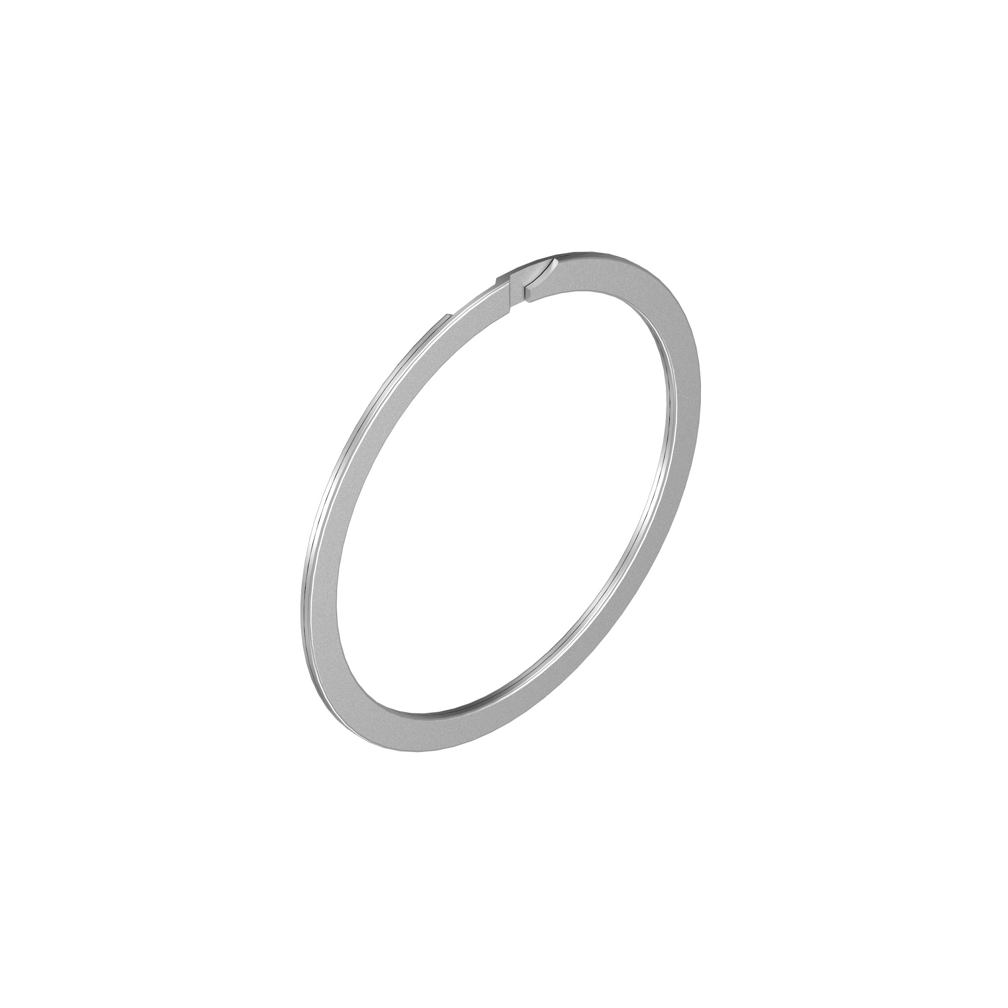 Snap Ring