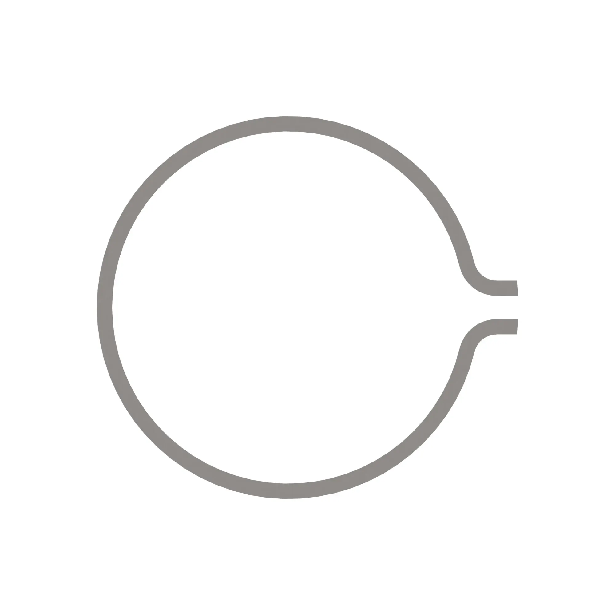 Snap Ring