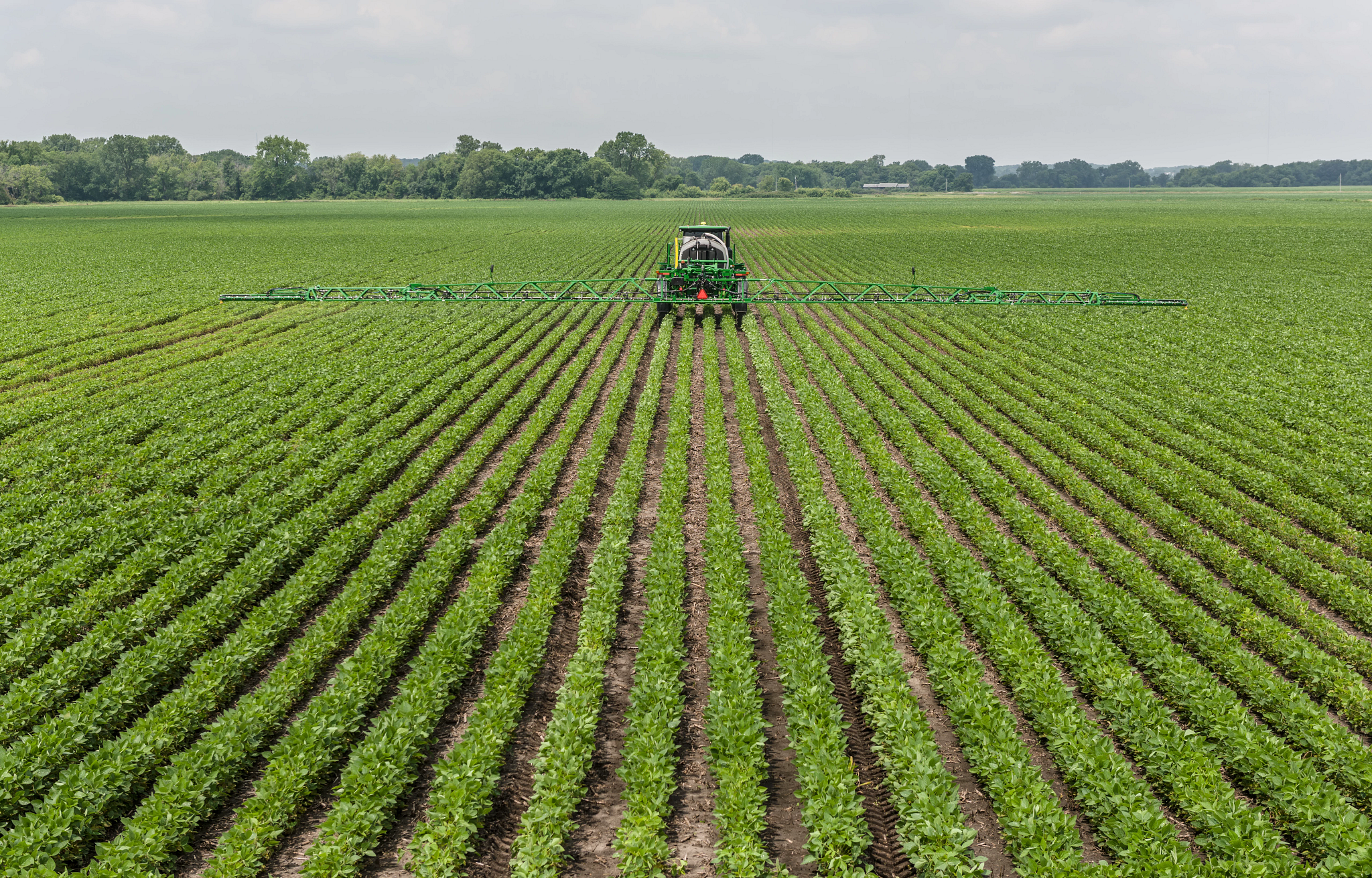 Wide aerial view of tractor with extended spray booms evenly applying treatment across long rows of green crops in a field.