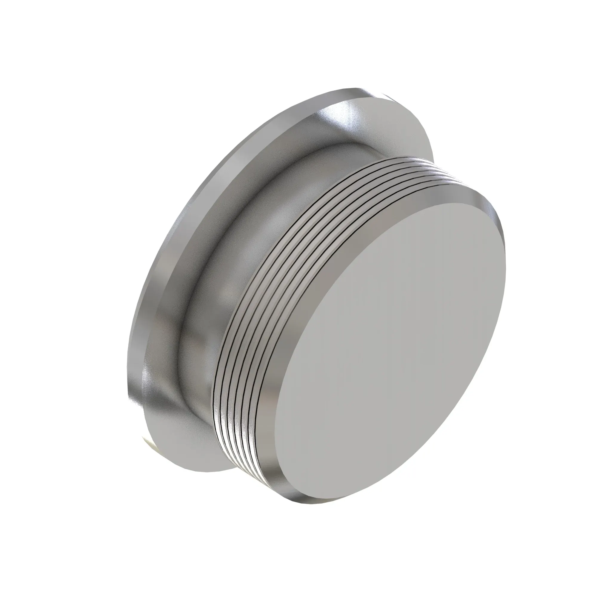 Fitting Plug