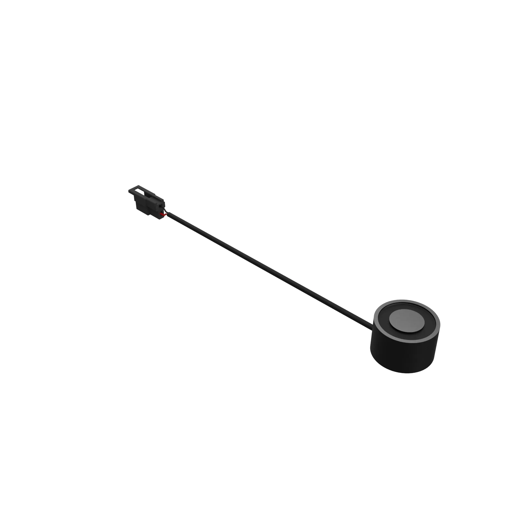 MAGNET
