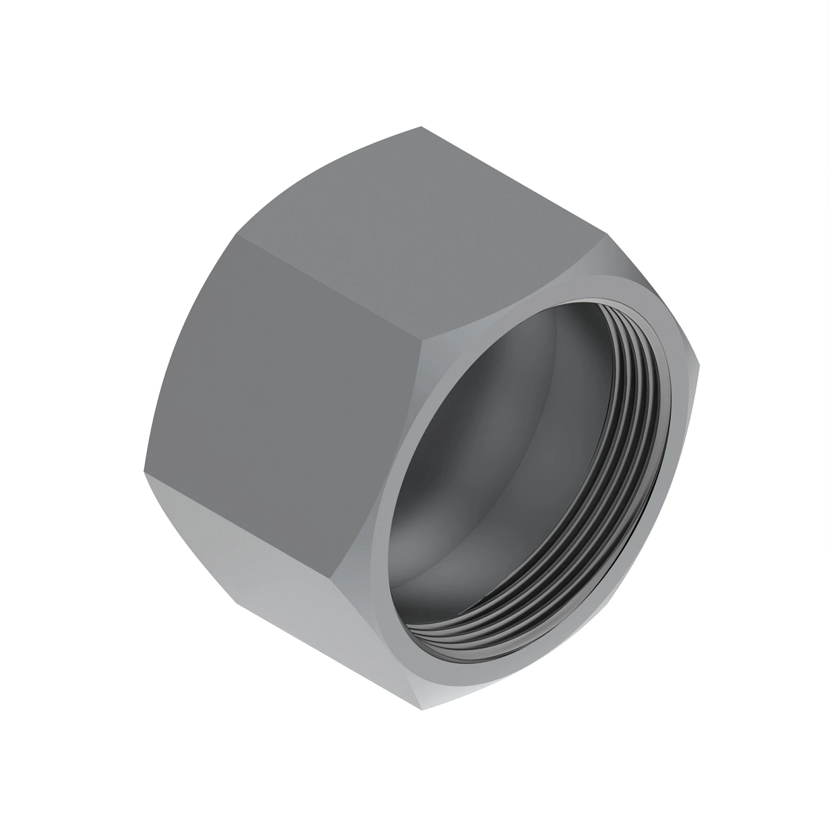 CAP ASSEMBLY, O-RING FSF